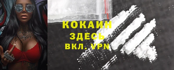 трава Аркадак