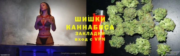 трава Аркадак