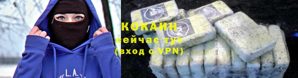 дурь Арсеньев