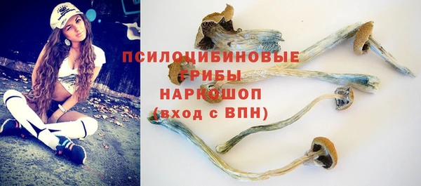 дурь Арсеньев