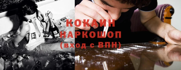 трава Аркадак