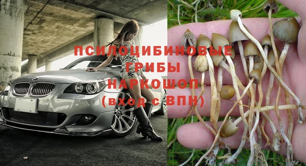 Альфа ПВП Киреевск