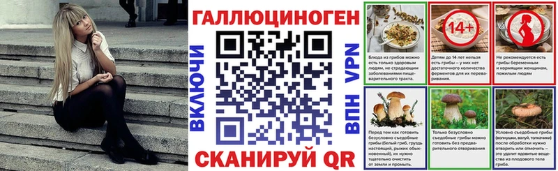 где купить наркоту  Партизанск  Галлюциногенные грибы Psilocybine cubensis 